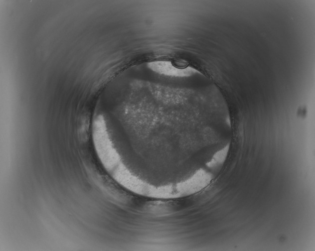 X0000114580082200911161318