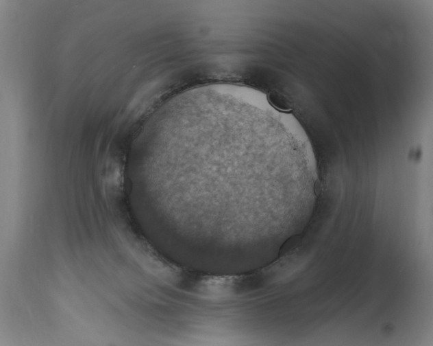 X0000114580084200911161318