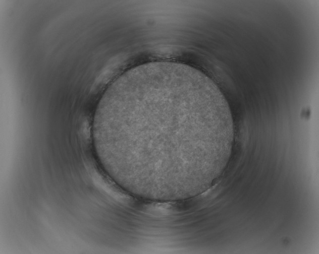 X0000114580086200911161318