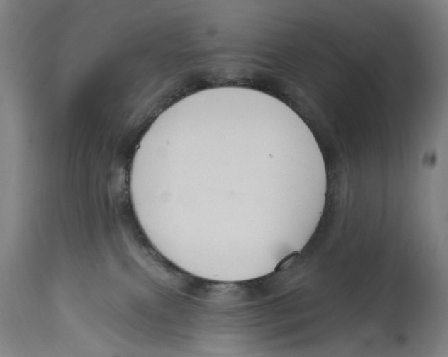 X0000114580087200911161318