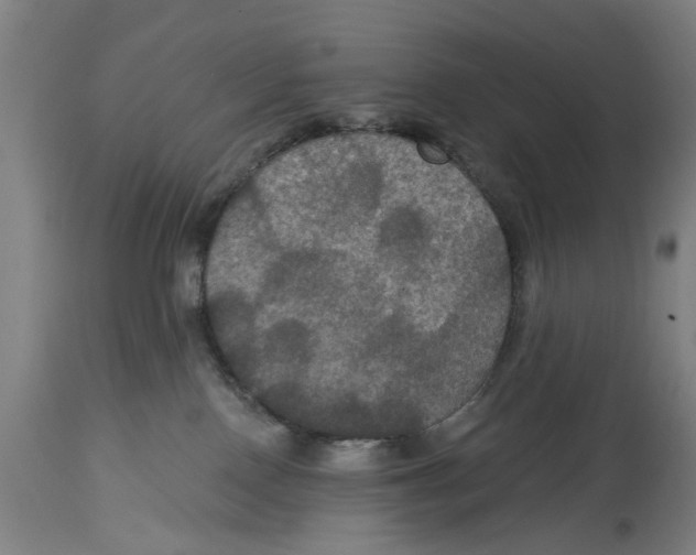 X0000114580090200911161318