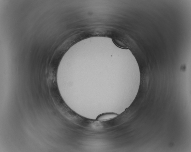 X0000114580091200911161319