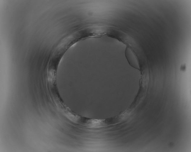 X0000114580093200911161319