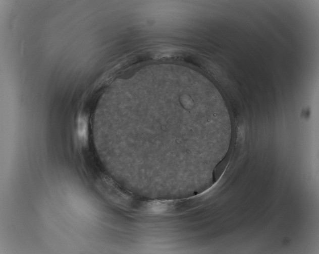 X0000114580094200911161319