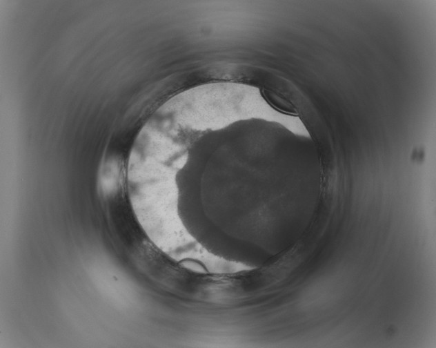 X0000114580095200911161319