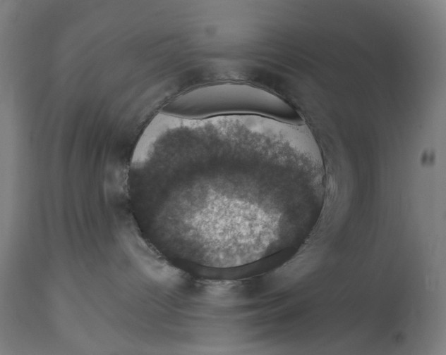 X0000114580096200911161319