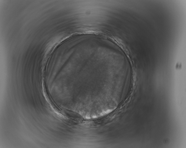 X0000114580097200911161318