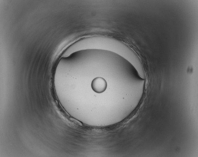 X0000114580101200911161318