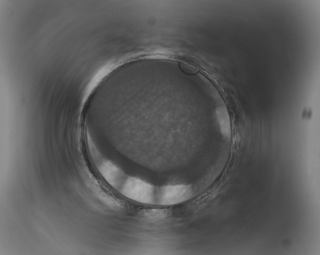 X0000114580102200911161318