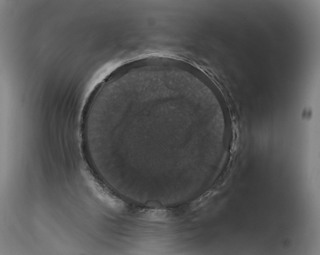 X0000114580104200911161318