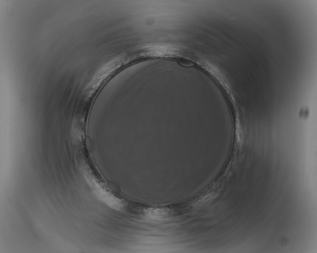 X0000114580105200911161318