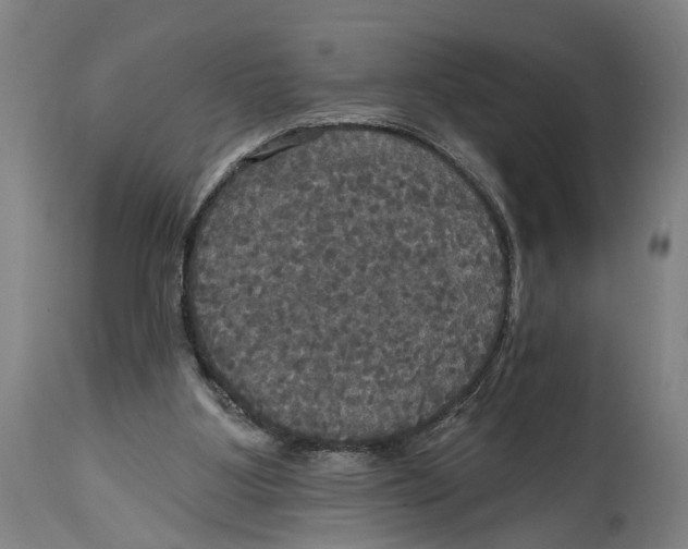 X0000114580107200911161318