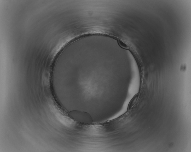 X0000114580108200911161318