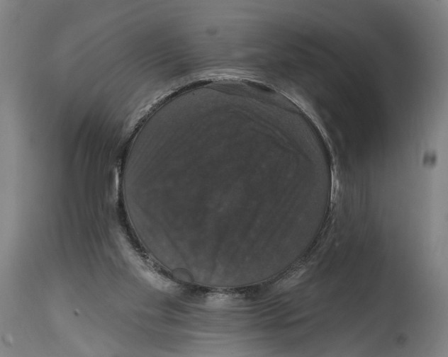 X0000114580109200911161318