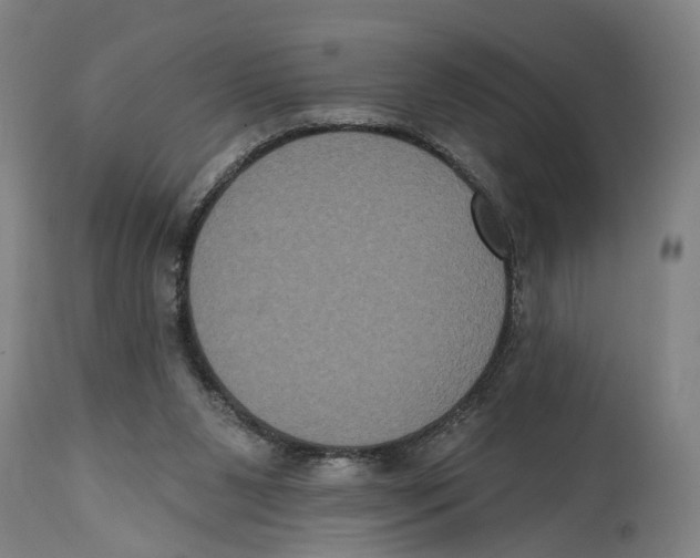 X0000114580111200911161318