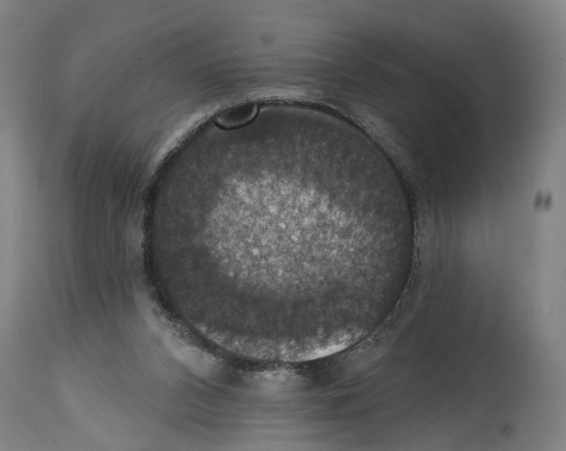 X0000114580112200911161318