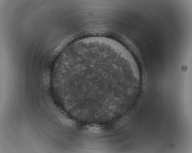 X0000114580113200911161318