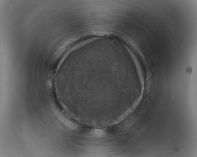 X0000114580114200911161318