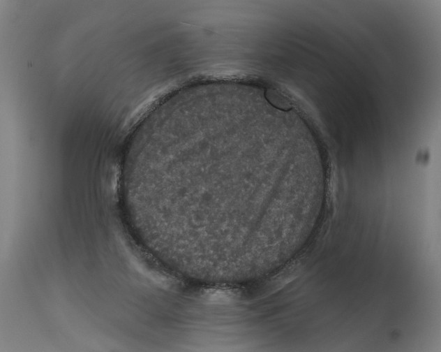 X0000114580115200911161318