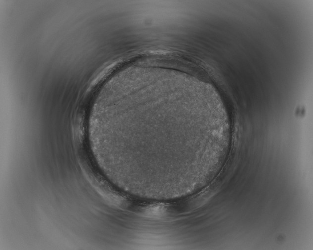 X0000114580116200911161318