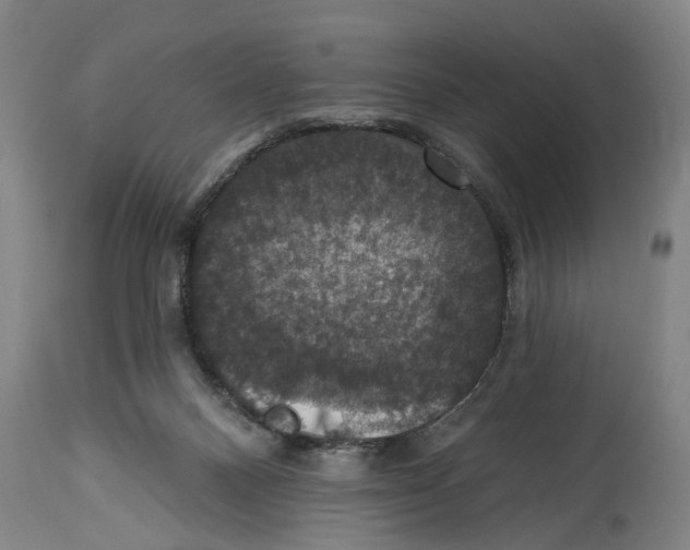 X0000114580120200911161318