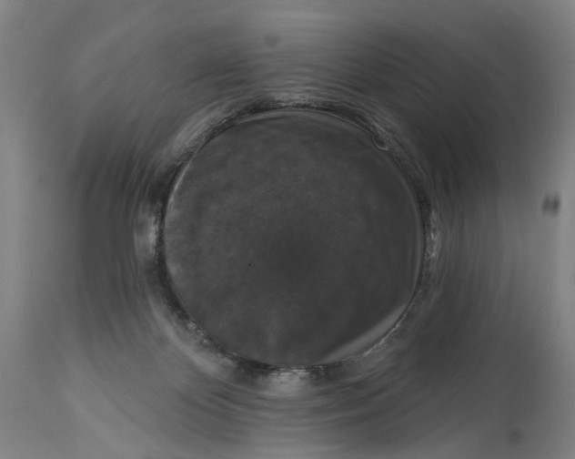 X0000114580124200911161318