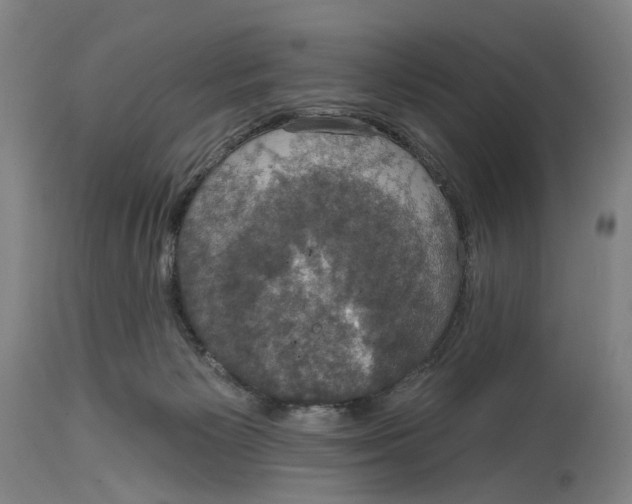 X0000114580125200911161318