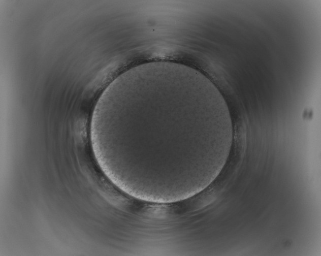 X0000114580127200911161318