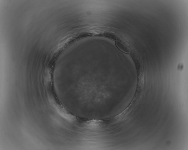 X0000114580128200911161317