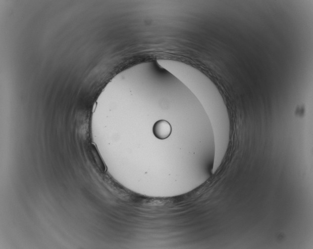 X0000114580129200911161317