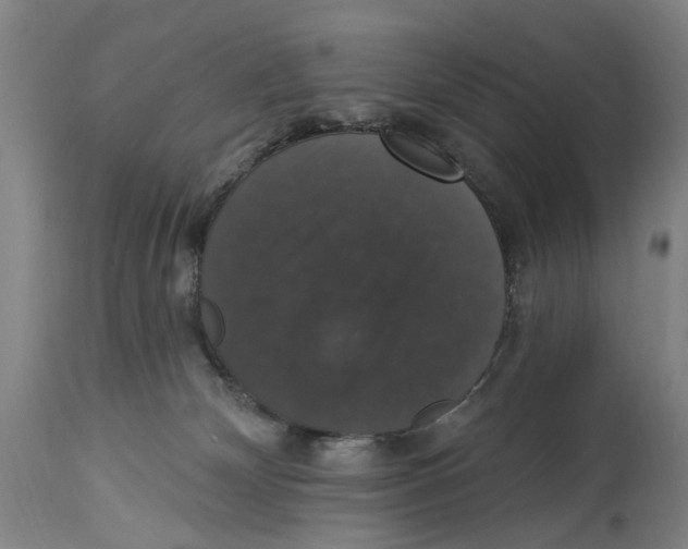 X0000114580132200911161317