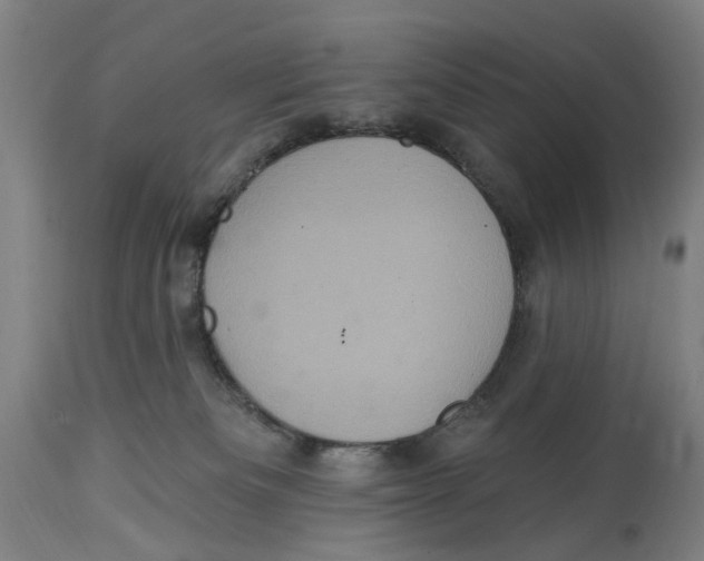 X0000114580133200911161317