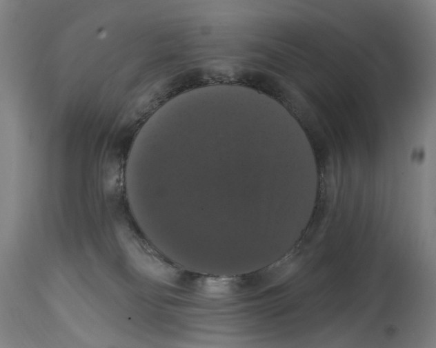 X0000114580134200911161317