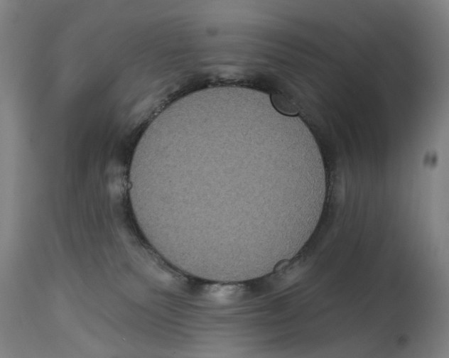 X0000114580135200911161317