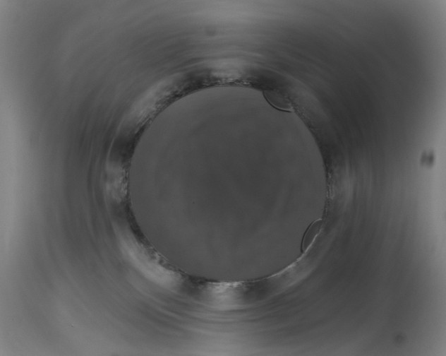 X0000114580136200911161317