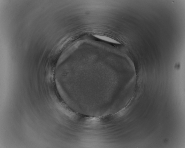 X0000114580140200911161317