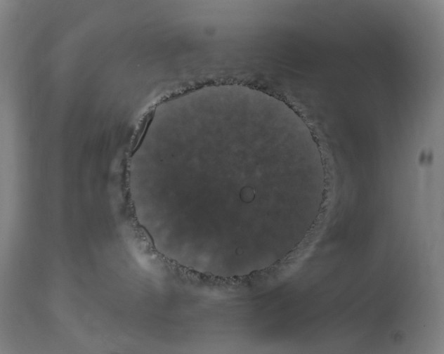 X0000114580144200911161317