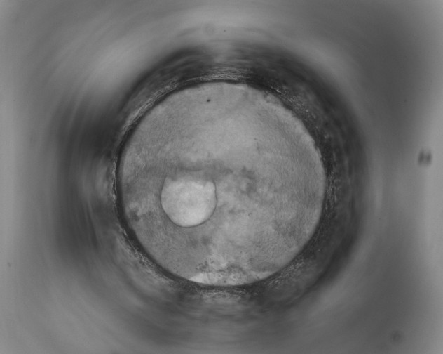 X0000114580146200911161317