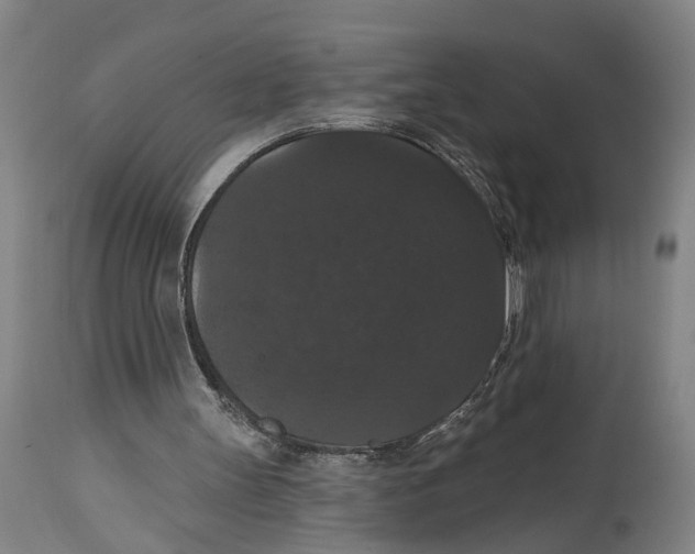 X0000114580147200911161317