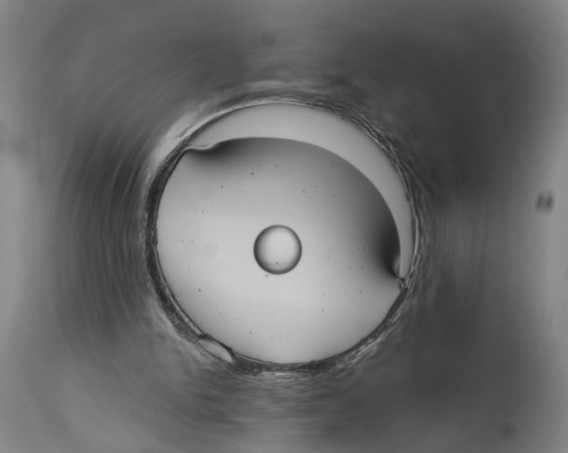 X0000114580150200911161317