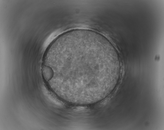 X0000114580151200911161317