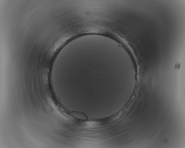 X0000114580154200911161317