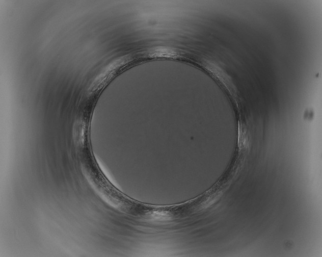 X0000114580157200911161317