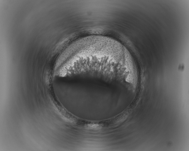 X0000114580161200911161317