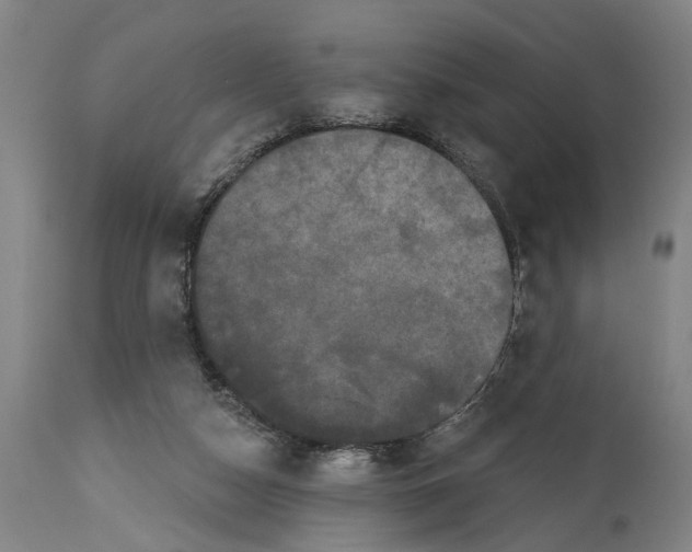 X0000114580162200911161317