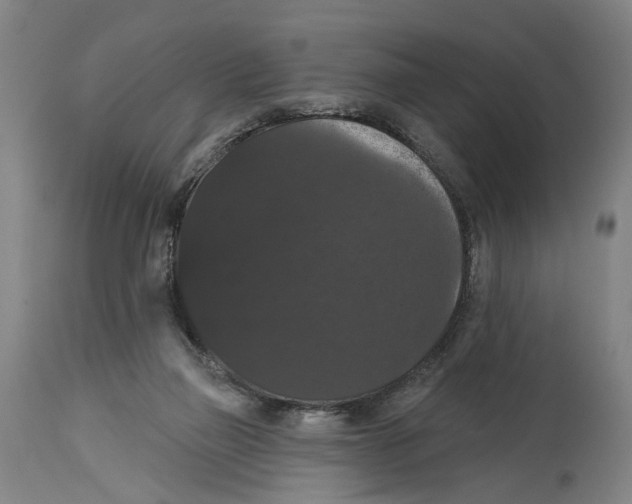 X0000114580165200911161317