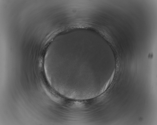 X0000114580166200911161317