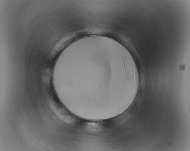 X0000114580167200911161317