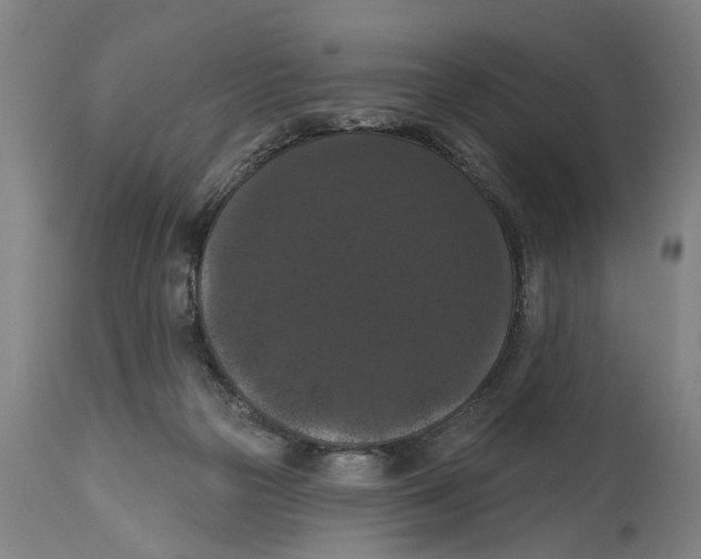 X0000114580169200911161317