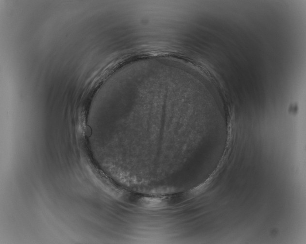 X0000114580170200911161317